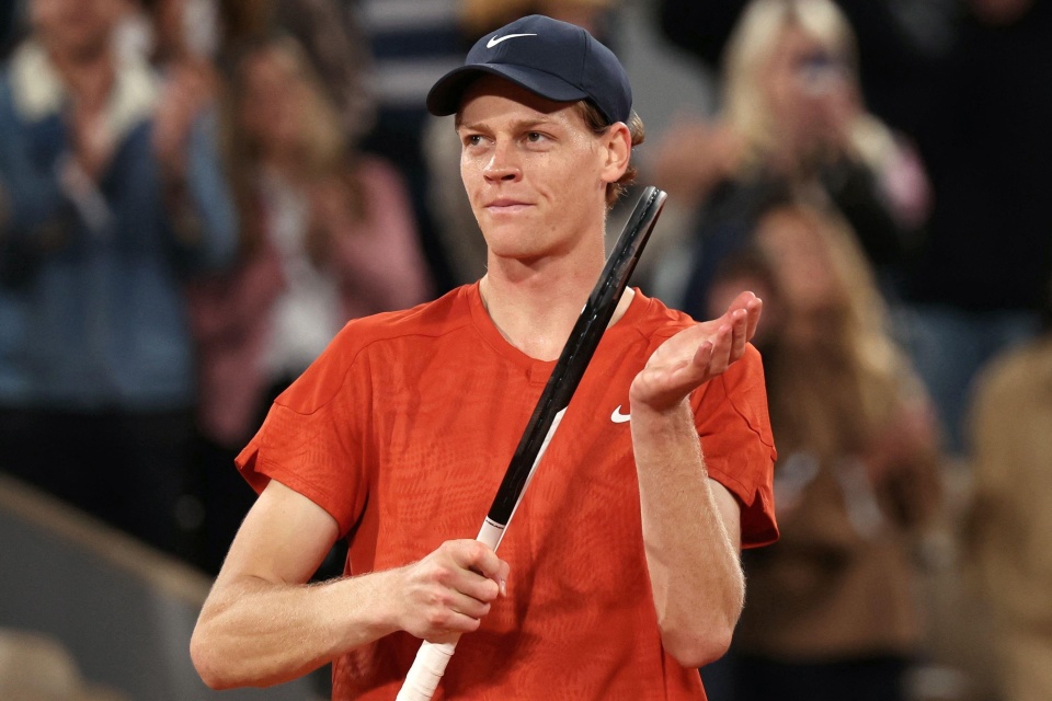 意为萨维尼 意为萨维尼